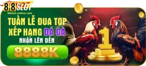 88SLOT win